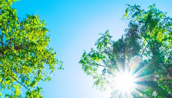 Find Serenity: 10 Secrets to Stress Reduction