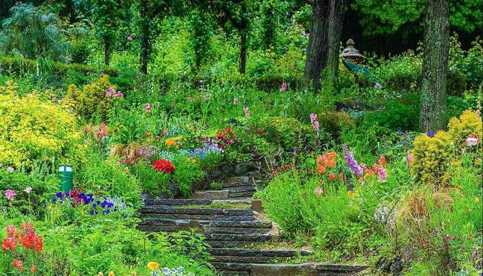 Transform Your City Garden With These Tips
