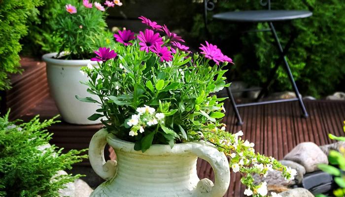 Gardening Boosts Health and Happiness!