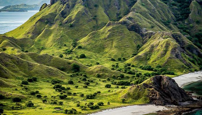 Wander Alone: 10 Thrilling Reasons To Try It