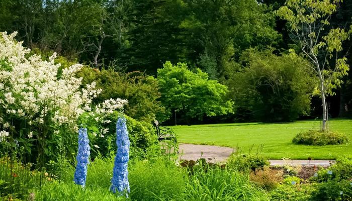 Top 10 Tips: Grow Giant Plants in Your Garden