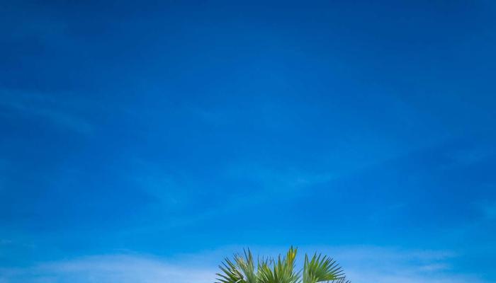Boost Your Happiness: 10 Science-Backed Tips