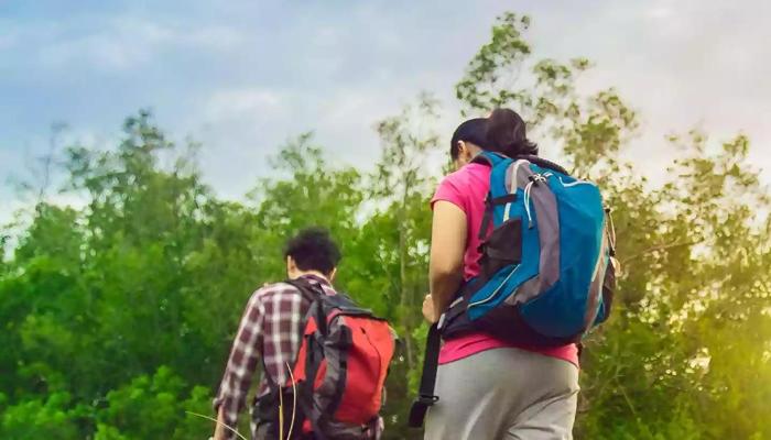 Go Green! Top 10 Eco-Friendly Travel Tips