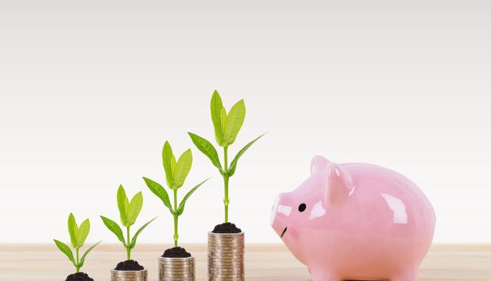 Master Your Money: 7 Steps to Financial Success