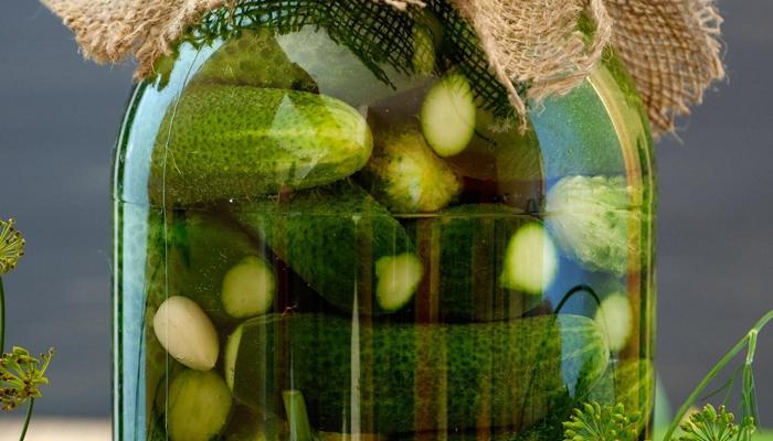 Fermentation Craze Sparks Pickle Debate