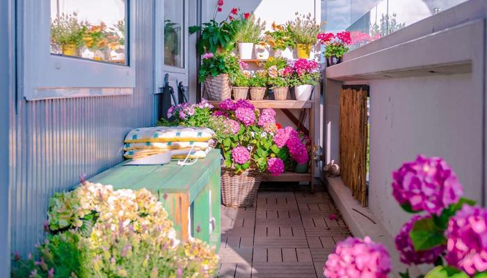 Small Gardens Can Transform Your Home Space