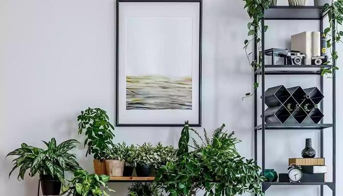 Go Green at Home Without Breaking the Bank