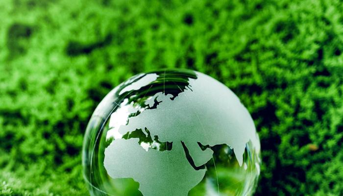 Live Sustainably: 10 Eco-Friendly Tips Today