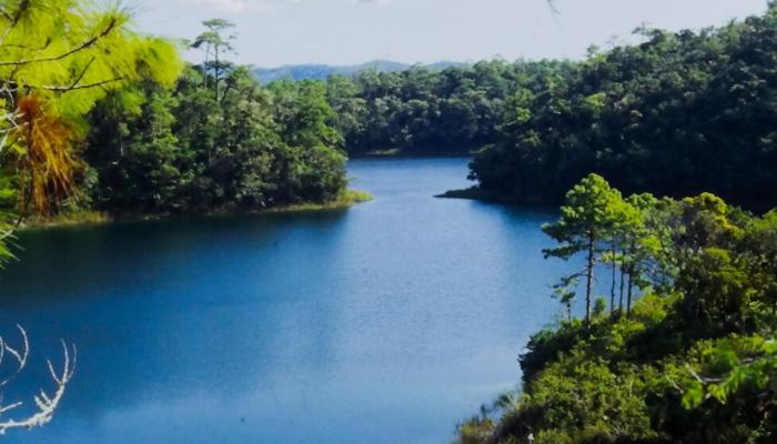 Explore Earth's Eco Elites for an Eco Escape.
