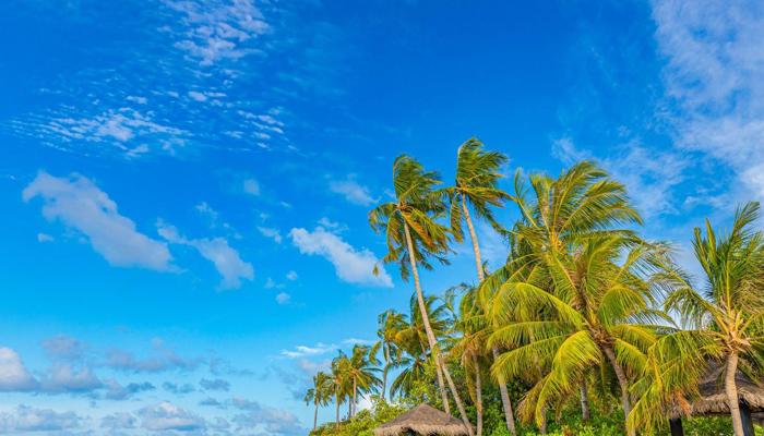 Relax on the Best Beaches: Top 10 Escapes