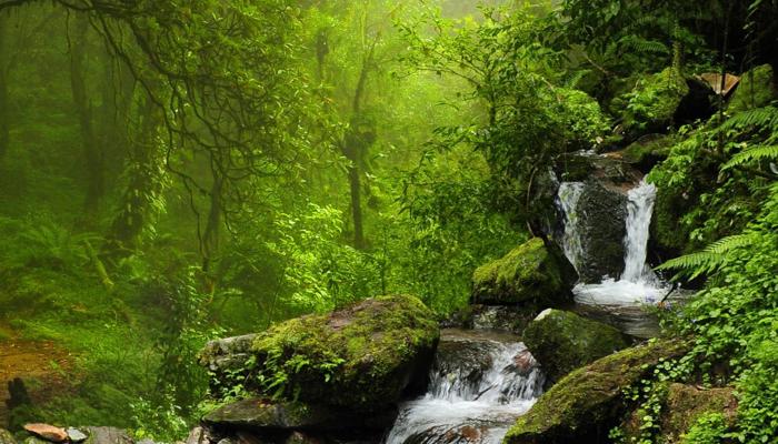Transform Your Life With Mindfulness Now.