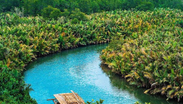 Explore Wild Sanctuaries Sustainably