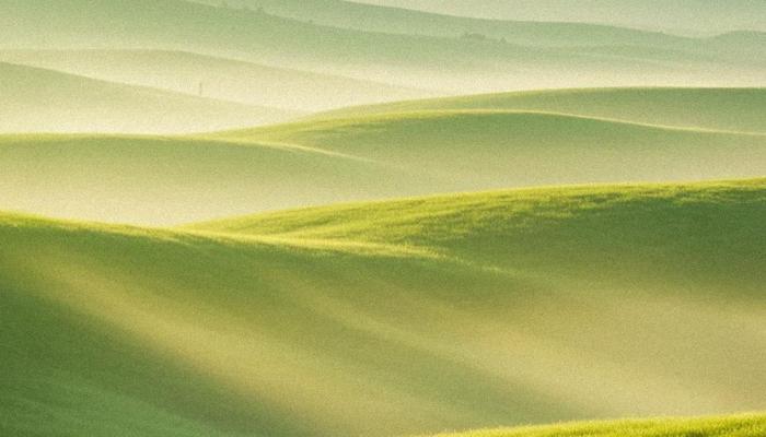 Sound Healing: Find Your Inner Peace Now