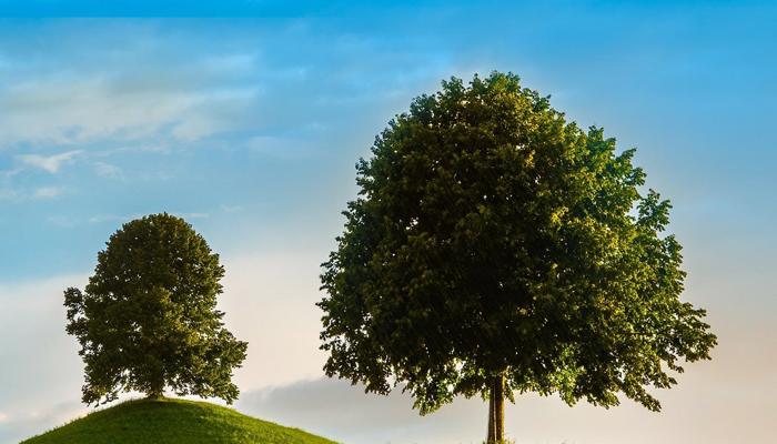 Mindfulness Can Improve Your Mental Health