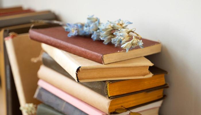 Top 10 Travel Books Will Ignite Your Wanderlust