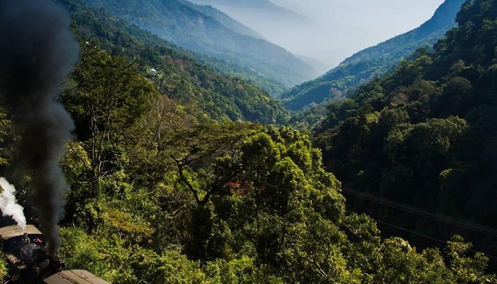 Experience Thrilling, Breathtaking Train Rides