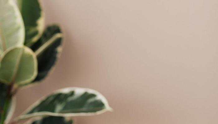 Journaling Can Make Your Life More Joyful