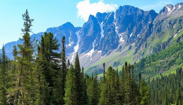 Seek Thrills? Try These 7 Outdoor Adventures.