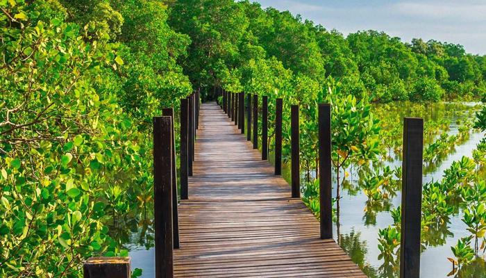 Travel Sustainably: Top 10 Eco-Friendly Tips