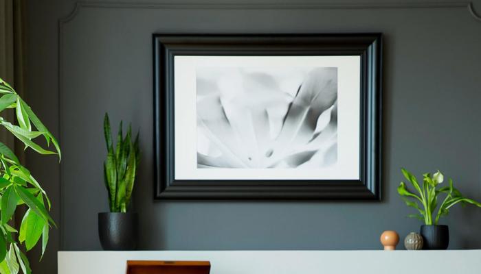 Create a Simple, Chic Home with These 6 Items