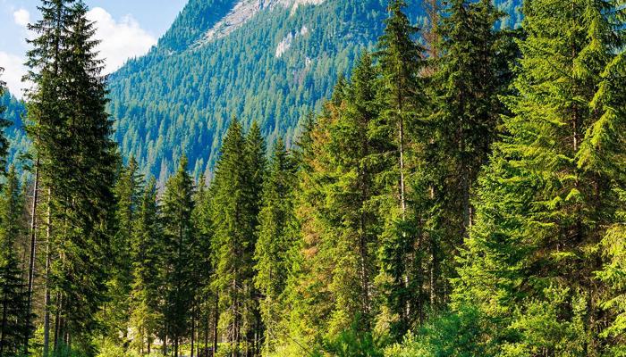 Explore National Parks on Your Next Adventure