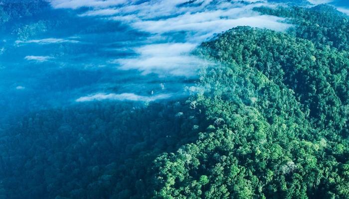 Travel Sustainably: A Planet Protector's Guide