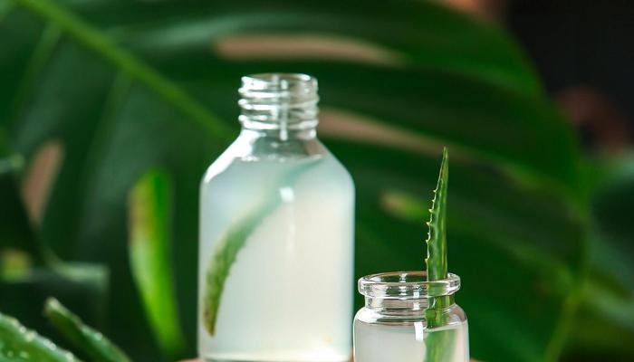Aloe Vera Alchemy: Beauty's Green Secret Unveiled!