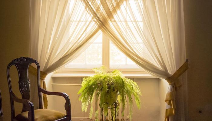 Vitamin D Boost: Sun-Kissed Secrets Revealed