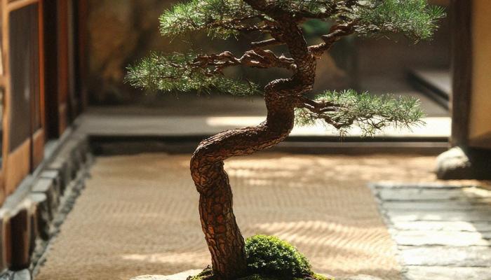 Create A Relaxing Garden With These 7 Ideas