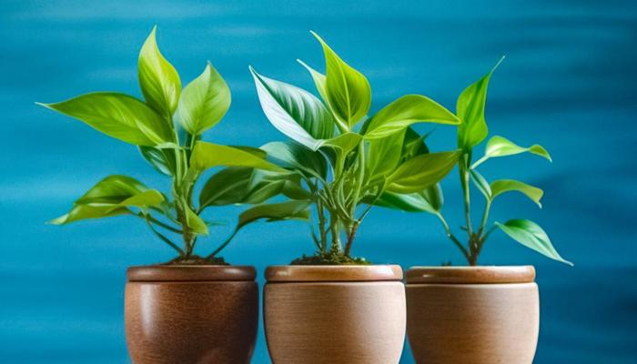 Improve Workplace Well-Being with Environment