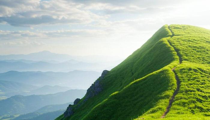 Achieve Success: 8 Steps to Reach Your Goals