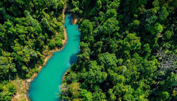 Enjoy Eco-Friendly Trips to Beautiful Places.
