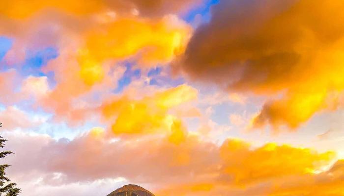 Immerse Yourself in Local Travel Experiences