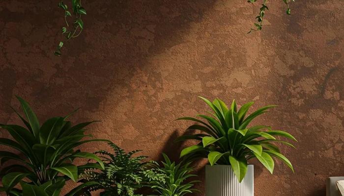 Plants Purify Your Home: Create a Green Oasis