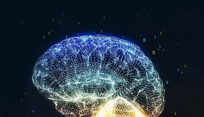 How Does the Brain Process Language?