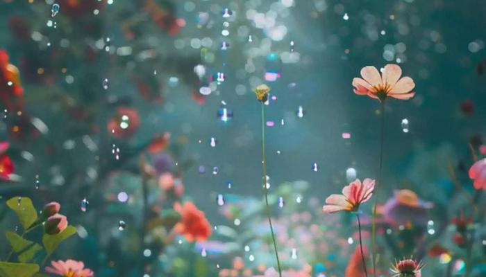 Find Joy: Manifesting Great Moments Now.