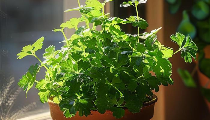 Enchant Your Home With These 10 Garden Tips