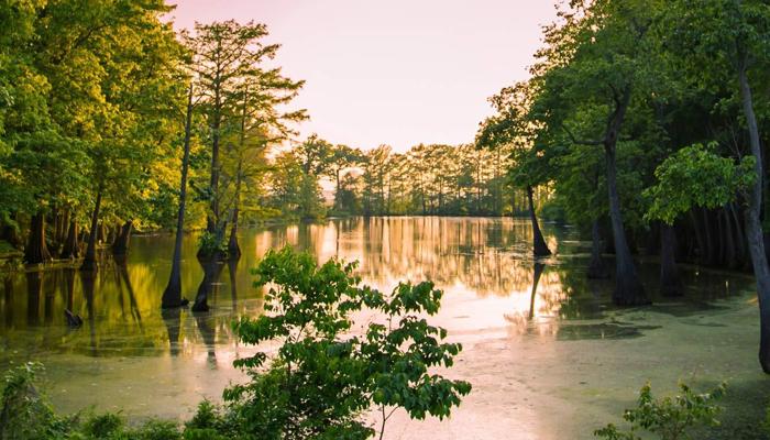 Go Outside: 10 Ways Nature Improves Well-Being