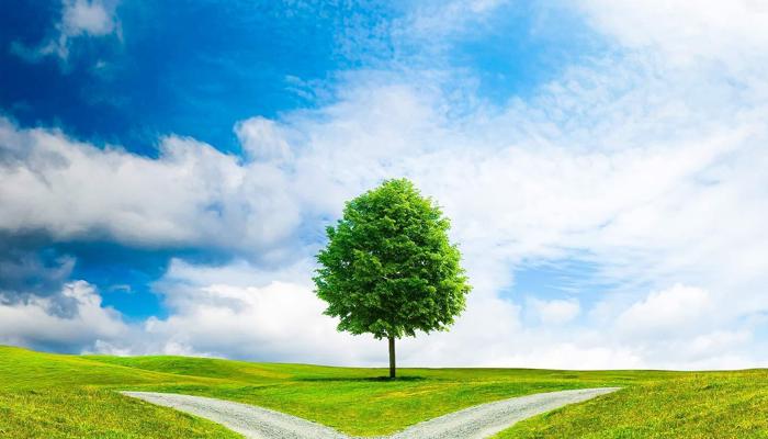 8 Career Paths: Which Turn Is Right For You?
