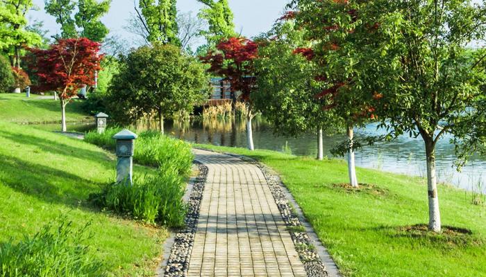 Walking May Boost Health and Extend Your Life