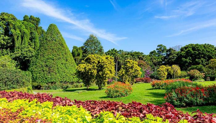 Join Gardeners for Blooming Adventures!