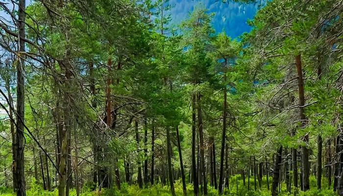 Top 10 Hiking Havens for Outdoor Lovers!