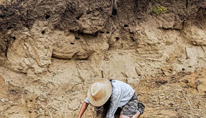 Paleontology Reveals Amazing Dino Discoveries