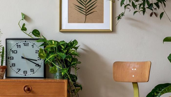 Go Green: Transform Your Home Eco-Chic Style
