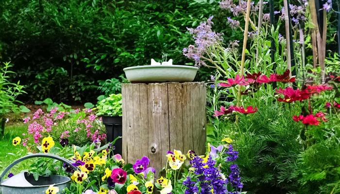 Start a Sustainable Garden in Six Steps.