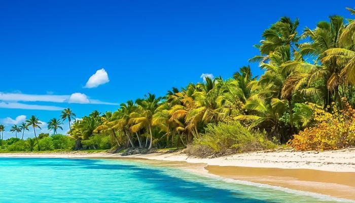 Plan Your Dream Vacation Without the Stress!