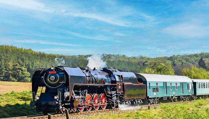 Discover Terrific Train Trips for Adventure!