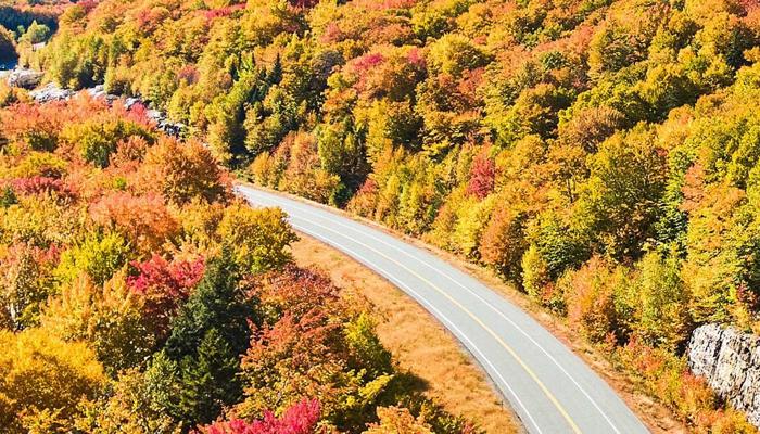 Travel Worry-Free: Top Insurance Tips Exist