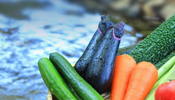 Discover Strange and Amazing Wellness Facts.