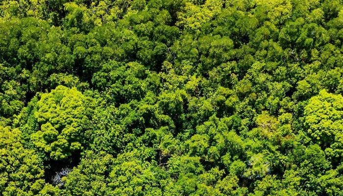 Travel Responsibly: Explore the World Greenly
